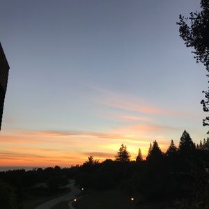 Meet your Posher, Nat